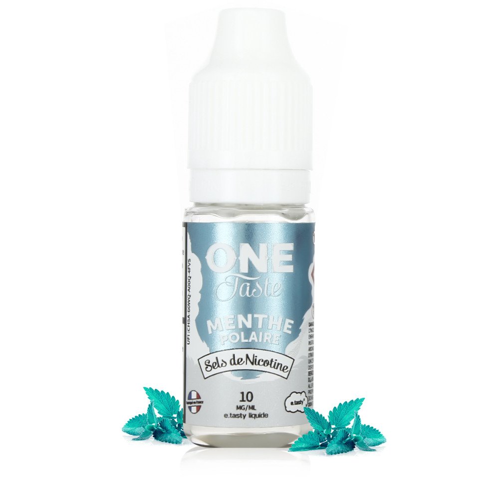 E-liquide Menthe Polaire Sels de Nicotine 10ml One Taste - E.Tasty